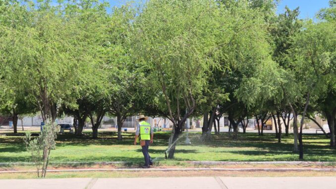 Mantiene Municipio en buen estado parques emblemáticos de la capital