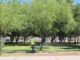 Mantiene Municipio en buen estado parques emblemáticos de la capital