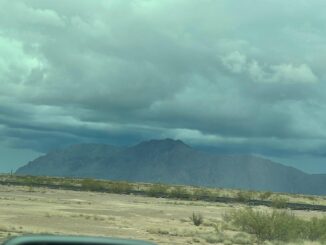 Alerta por viento fuerte y lluvia para los próximos días