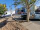 Adulto mayor pierde el control de su pickup y se impacta contra un árbol en la avenida Pacheco