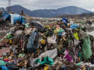 Semarnat señala que México genera casi 140 mil toneladas de residuos al día