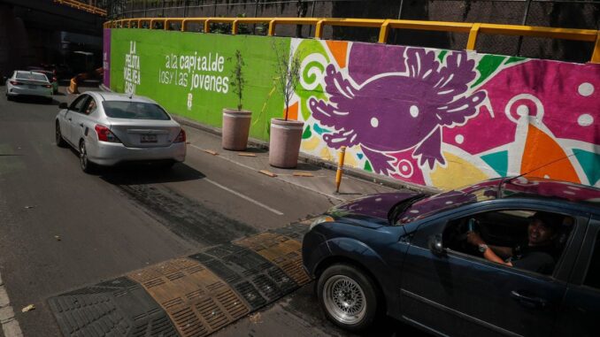 CDMX se pinta de ajolotes a días del Mundial, mientras la especie desaparece