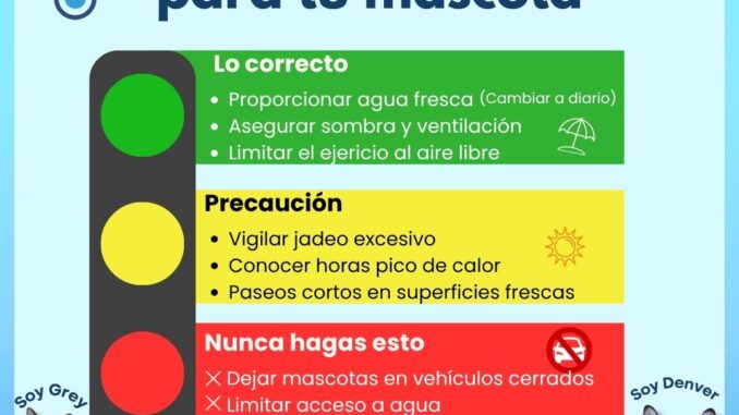 ¡Protege a tus mascotas del calor! Municipio brinda recomendaciones