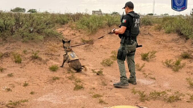 Localiza FGE osamenta en fosa clandestina en Senderos de San Isidro