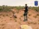 Localiza FGE osamenta en fosa clandestina en Senderos de San Isidro