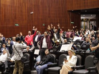 Diputados aprueban anular elecciones por intervención extranjera