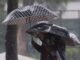 Clima hoy jueves 28 de mayo de 2026 en México: Seguirán las lluvias y onda de calor