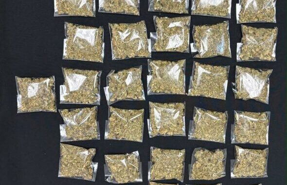 Detiene AEI a masculino con casi medio kilo de mariguana en Cd. Juárez