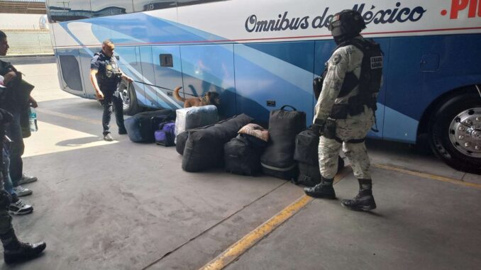 Realizan Policía Municipal y Guardia Nacional revisiones en Central Camionera