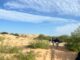 Continúa la búsqueda de Esmeralda Castillo Rincón, rastrean Arroyo del Navajo