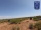 Encuentran dos osamentas en rastreo realizado por la Unidad de Ausentes en Cd. Juárez