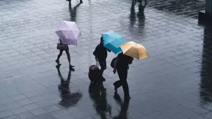 Clima de hoy sábado 6 de junio: prevén lluvias intensas y calor extremo en gran parte del país